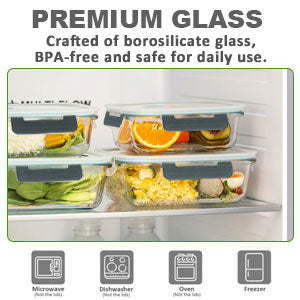 10-Pack 30oz Glass Containers: Airtight Meal Prep Bento Box for Microwave/Dishwasher (Gray) - Take Fire