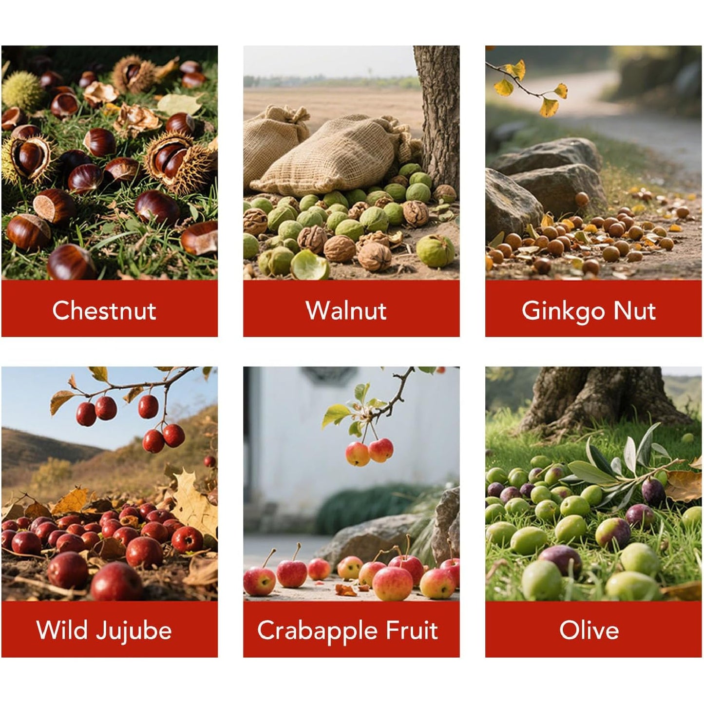 Acorn Picker Roller: 44.7" 3-Section Gatherer for Nuts & Golf Balls Outdoor - Take Fire