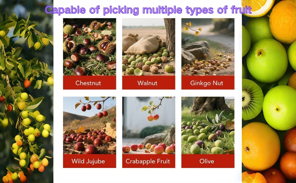 Acorn Picker Roller: 44.7" 3-Section Gatherer for Nuts & Golf Balls Outdoor - Take Fire