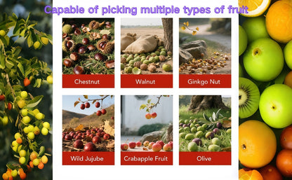 Acorn Picker Roller: 44.7" 3-Section Gatherer for Nuts & Golf Balls Outdoor - Take Fire