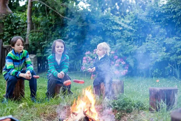 Ignite Your Outdoor Gatherings with Take Fire: Your Campfire Companion