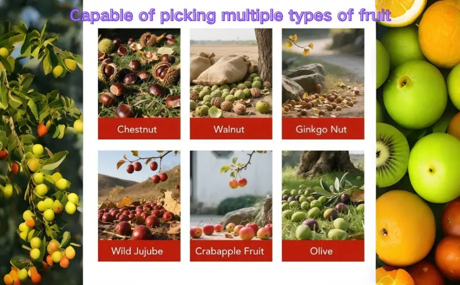 Acorn Picker Roller: 44.7" 3-Section Gatherer for Nuts & Golf Balls Outdoor - Take Fire